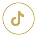 Tiktok logo
